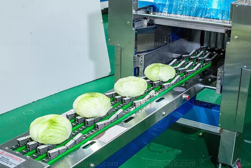 fruit wrapping machine