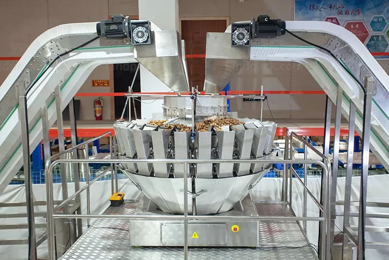 cashew nut packing machine price