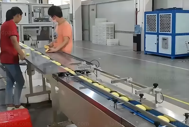 toilet soap wrapping machine