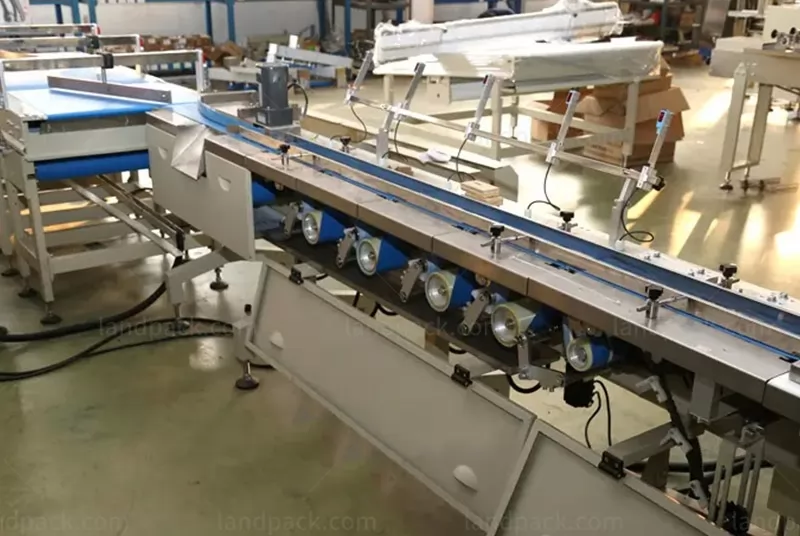 wafer biscuit packing machine