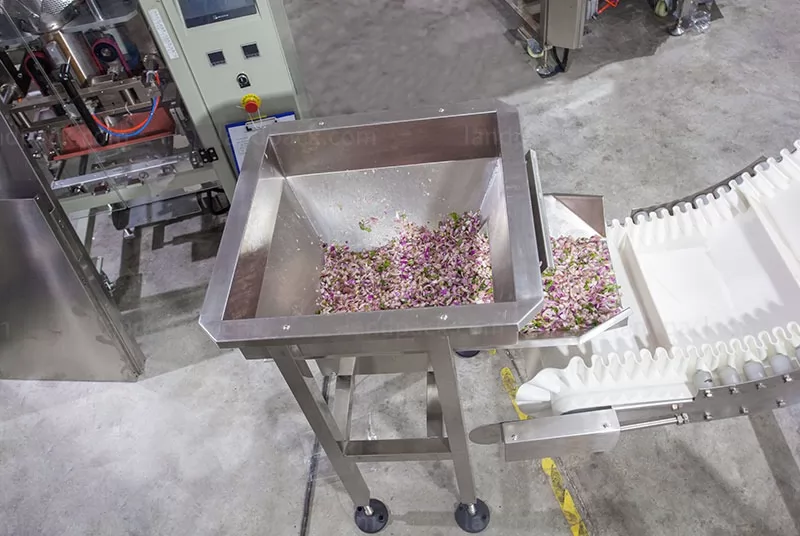 fresh vegetable packing machine