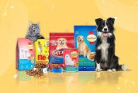 What is Pet Food Packaging Equipment? A Complete Guide for Pet Food Manufacturers